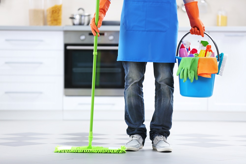 Domestic Cleaning